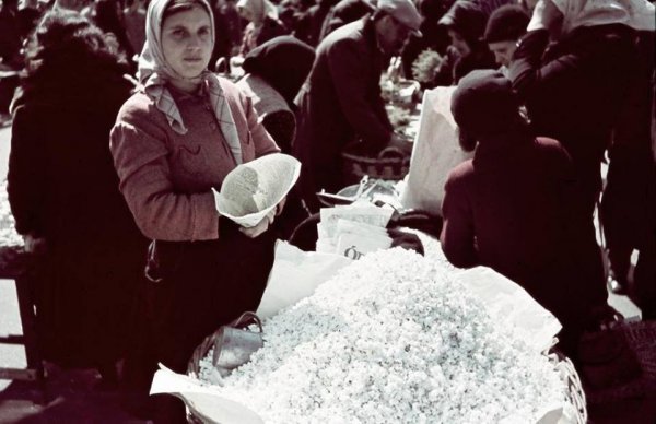 11063511_851745348218188_5295026241728608225_n