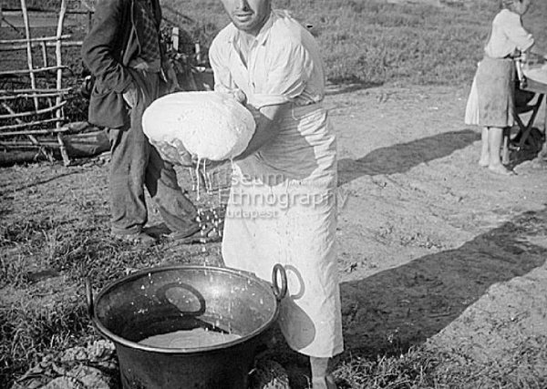 11169885_866032490122807_6716511334597817693_n