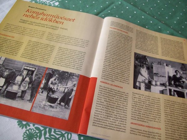 11174773_866035890122467_6209535885861762878_n